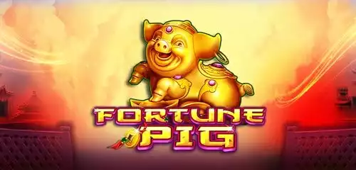 FORTUNE PIG