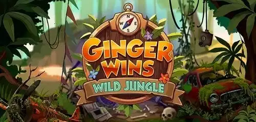 Ginger Wins