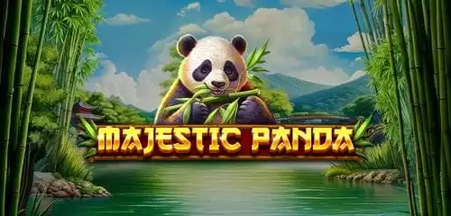 Majestic Panda