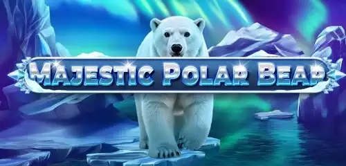 Majestic Polar Bear