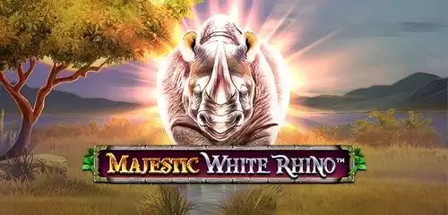 Majestic White Rhino