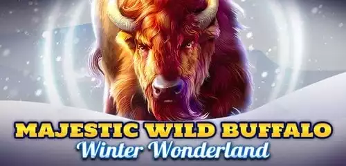 Majestic Wild Buffalo - Winter Wonderland