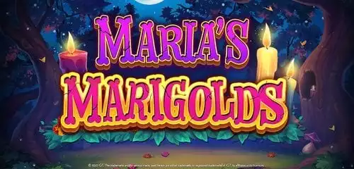 Maria's Marigolds