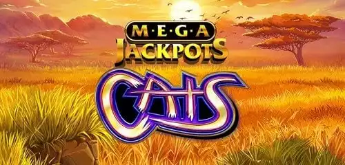 MegaJackpots Cats