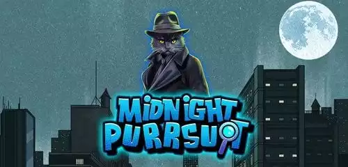 Midnight Purrsuit