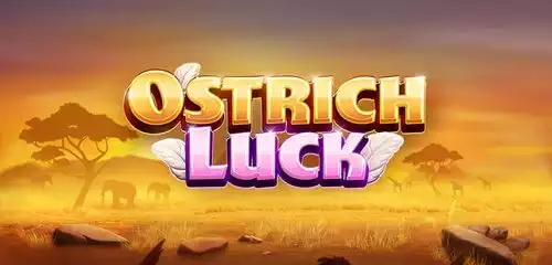Ostrich Luck