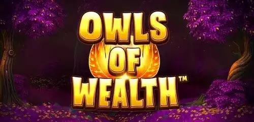 Owls of Wealth
