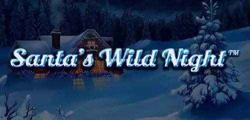 Santas Wild Night