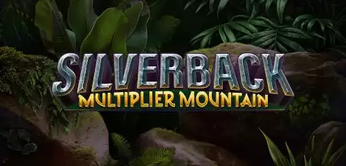 Silverback Multiplier Mountain