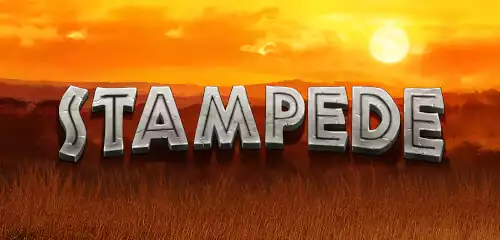 Stampede