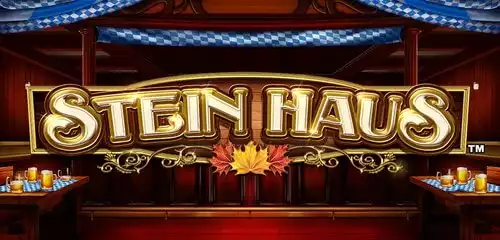 Stein Haus