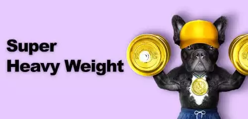 Super Heavy Weight Bingo