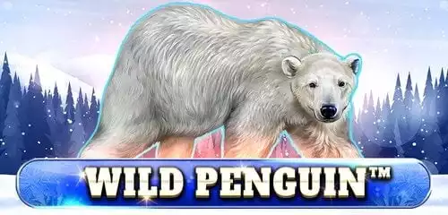 Wild Penguin