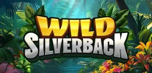 Wild Silverback