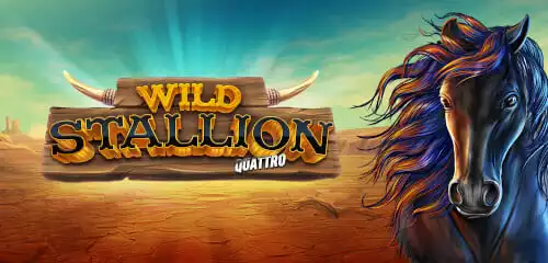 Wild Stallion