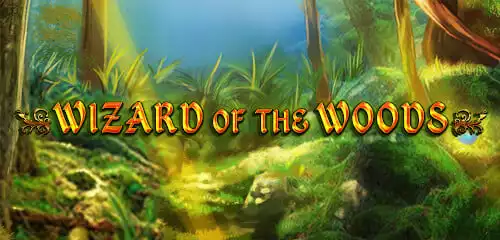 Wizard of the Woods