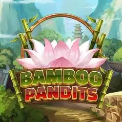 Bamboo Pandits