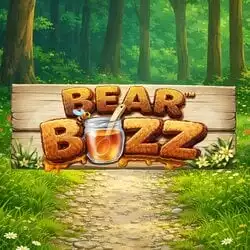 Bear Buzz