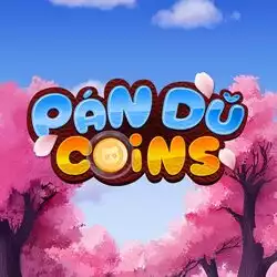 Pan Du Coins