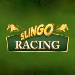 Slingo Racing