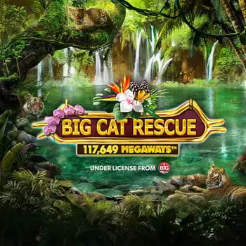Big Cat Rescue Megaways