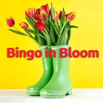 Bingo In Bloom