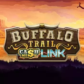 Buffalo Trail Cash Mesh Link