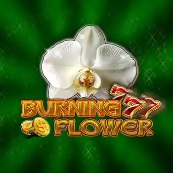 Burning Flower