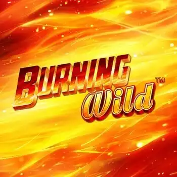 Burning WILD