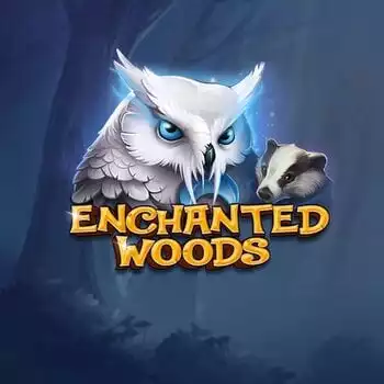 Enchanted Woods