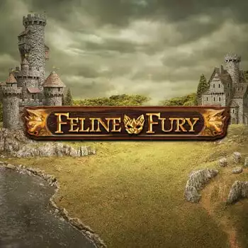 Feline Fury
