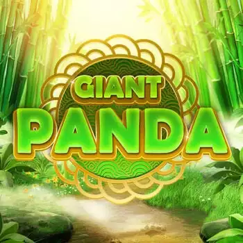 Giant Panda