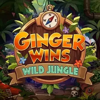 Ginger Wins