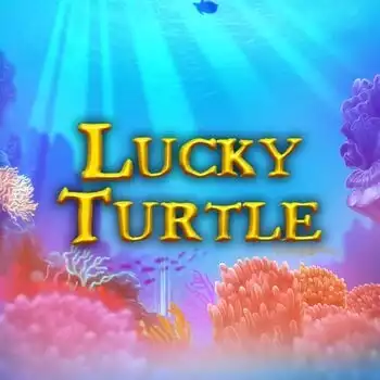 Lucky Turtle