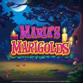 Maria's Marigolds