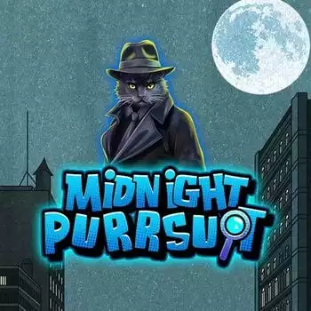 Midnight Purrsuit