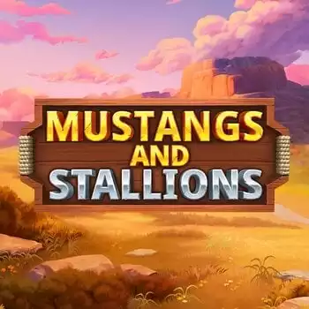 Mustang and Stallions
