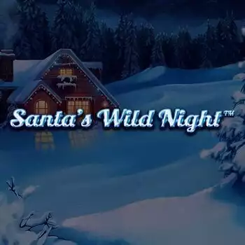 Santas Wild Night