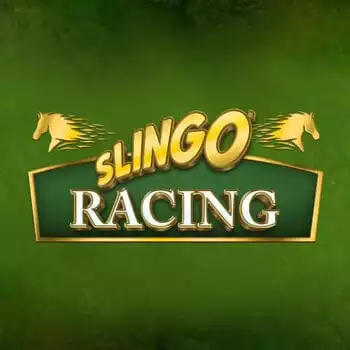 Slingo Racing