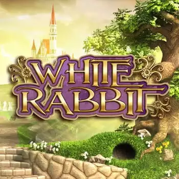 White Rabbit