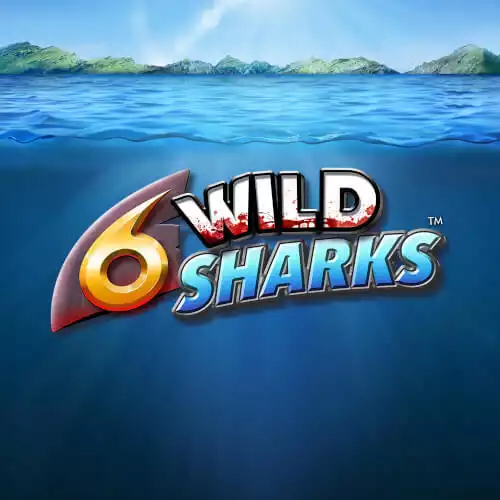 6 Wild Sharks