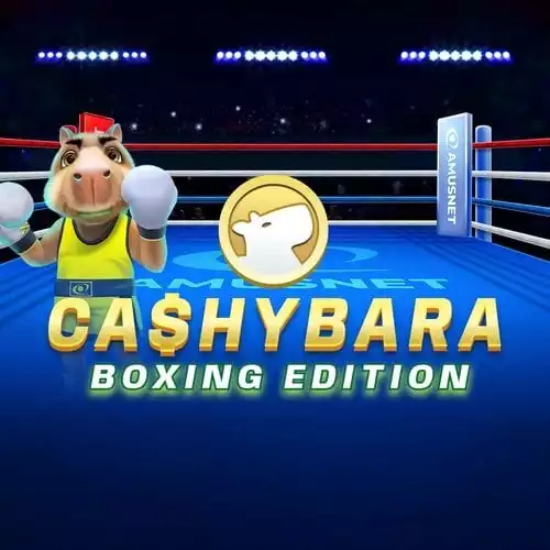 Cashybara Boxing Edition