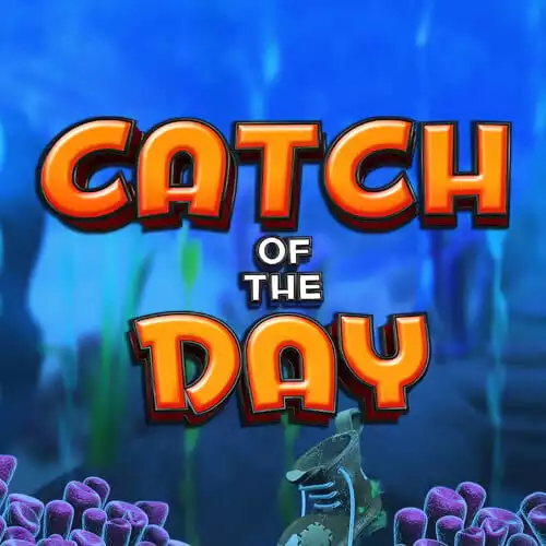 Catch of the Day