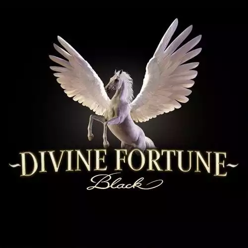 Divine Fortune Black