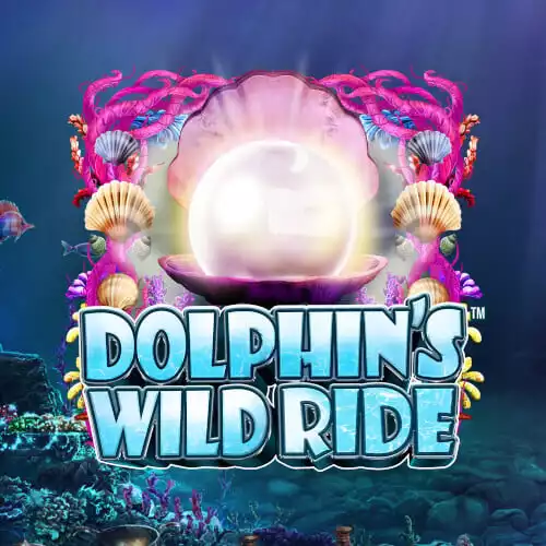 Dolphins Wild Ride