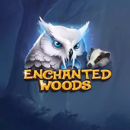 Enchanted Woods
