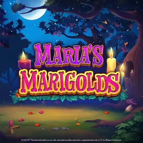 Maria's Marigolds