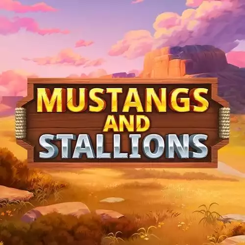 Mustang and Stallions