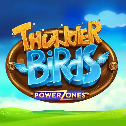 Power Zones Thunderbirds L