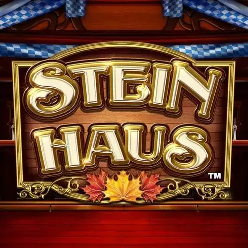 Stein Haus